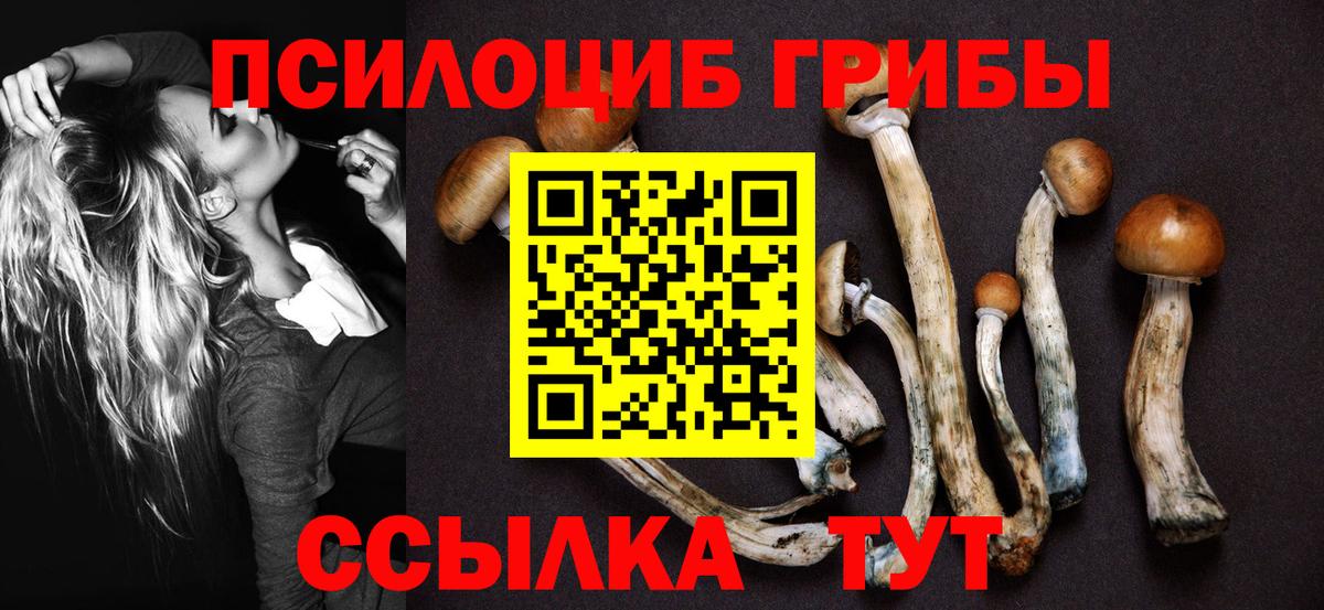 Псилоцибиновые грибы Psilocybine cubensis Приморско-Ахтарск